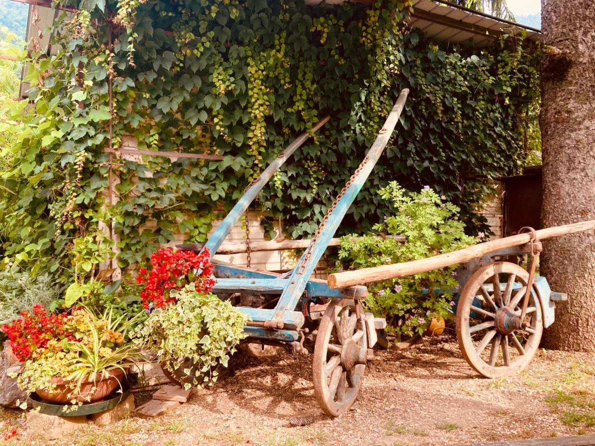 Cascina Canale Sabbio Chiese 外观 照片