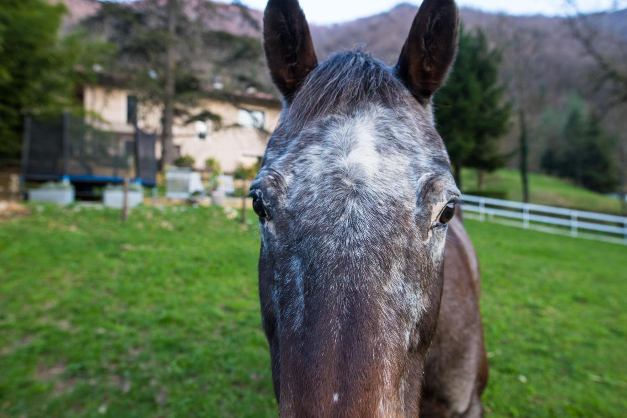 Cascina Canale Sabbio Chiese 外观 照片