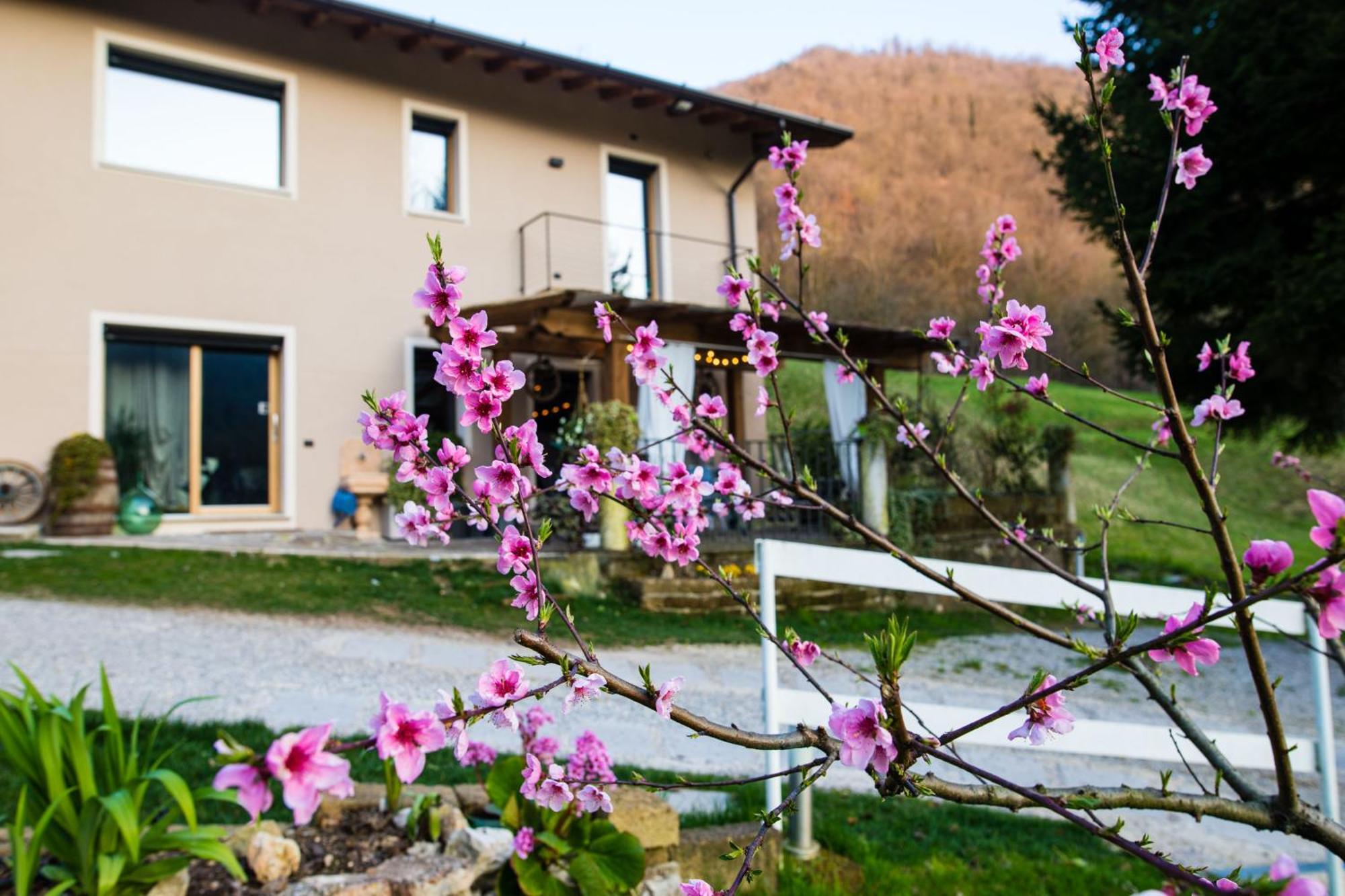 Cascina Canale Sabbio Chiese 外观 照片