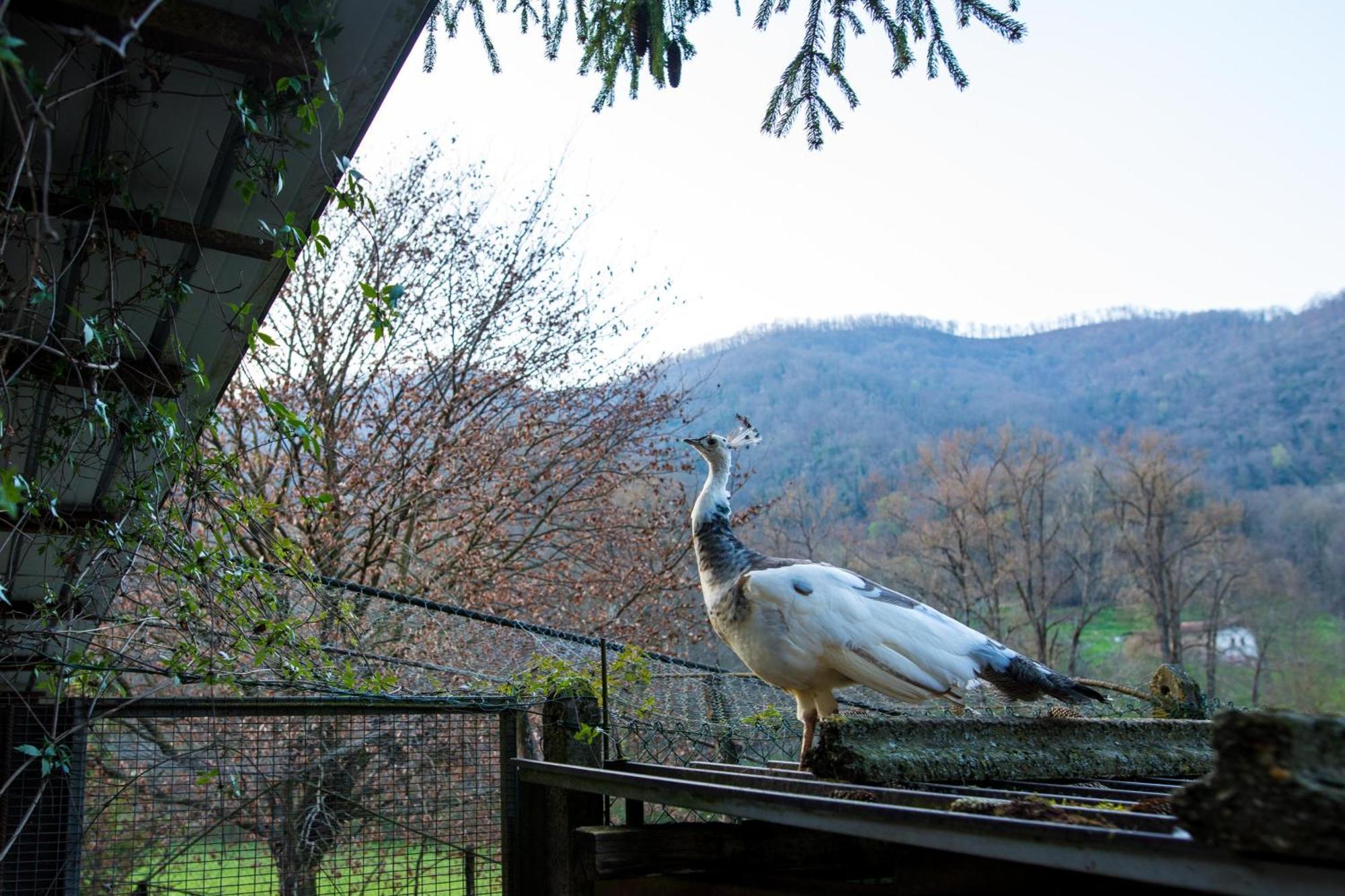 Cascina Canale Sabbio Chiese 外观 照片